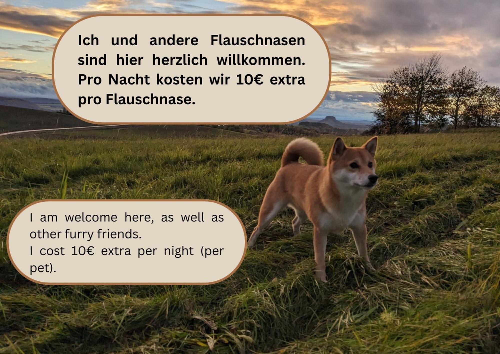 W2 - Urlaubsmagie - Im Herzen Des Elbsandsteingebirges Sebnitz Extérieur photo